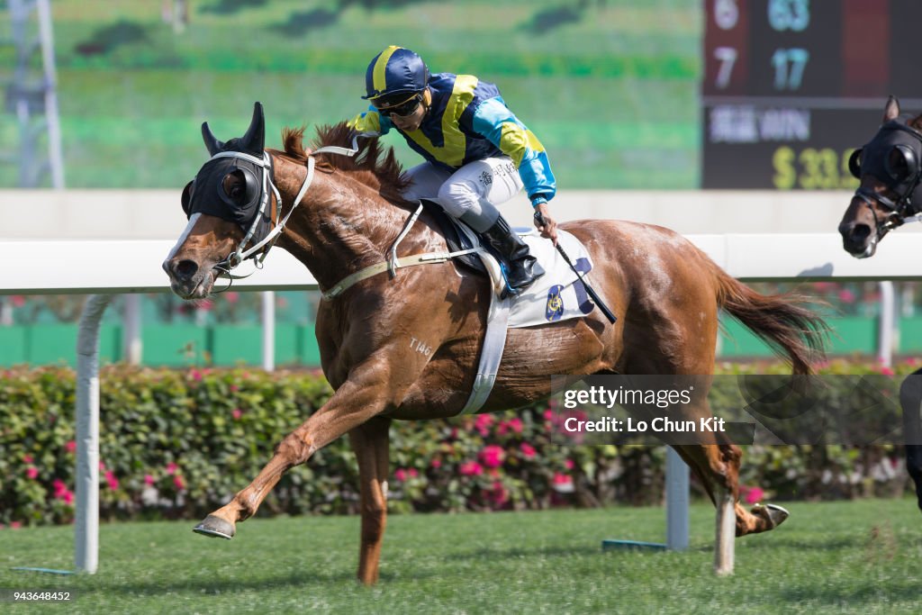 Horse Racing in Hong Kong - Sha Tin Racecourse