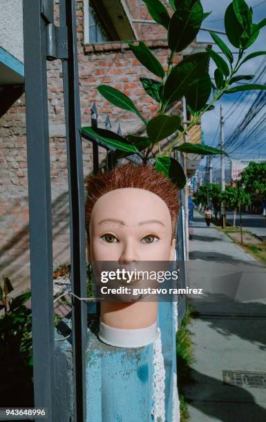 masseter head of mannequin with plants on his head - female anatomy for artist stock pictures, royalty-free photos & images