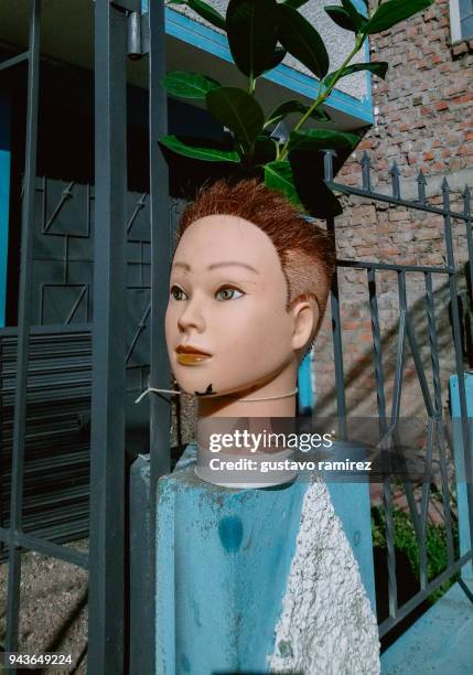 Masseter Inplants Anatomy Mannequin Stock-Fotos und Bilder - Getty Images