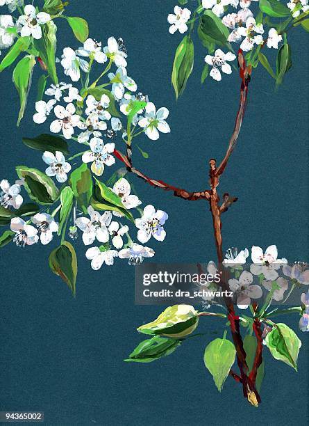 apple in bloom - oil painting flowers stock illustrations