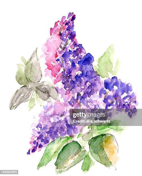 Flower Scan Photos and Premium High Res Pictures - Getty Images