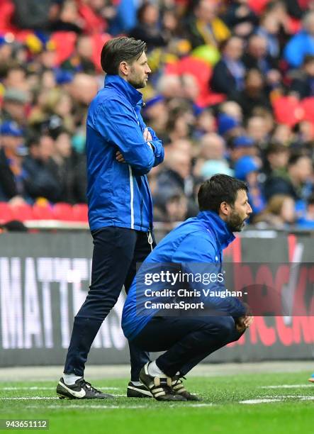 Lincoln City's assistant manager Nicky Cowley and Lincoln City manager Danny Cowley watch on from the technical area during the Checkatrade Trophy...