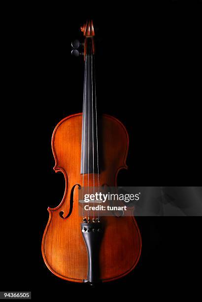violino - violino imagens e fotografias de stock