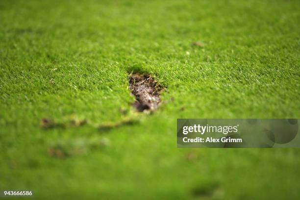 Trace in the turf during the Bundesliga match between Eintracht Frankfurt and TSG 1899 Hoffenheim at Commerzbank-Arena on April 8, 2018 in Frankfurt...