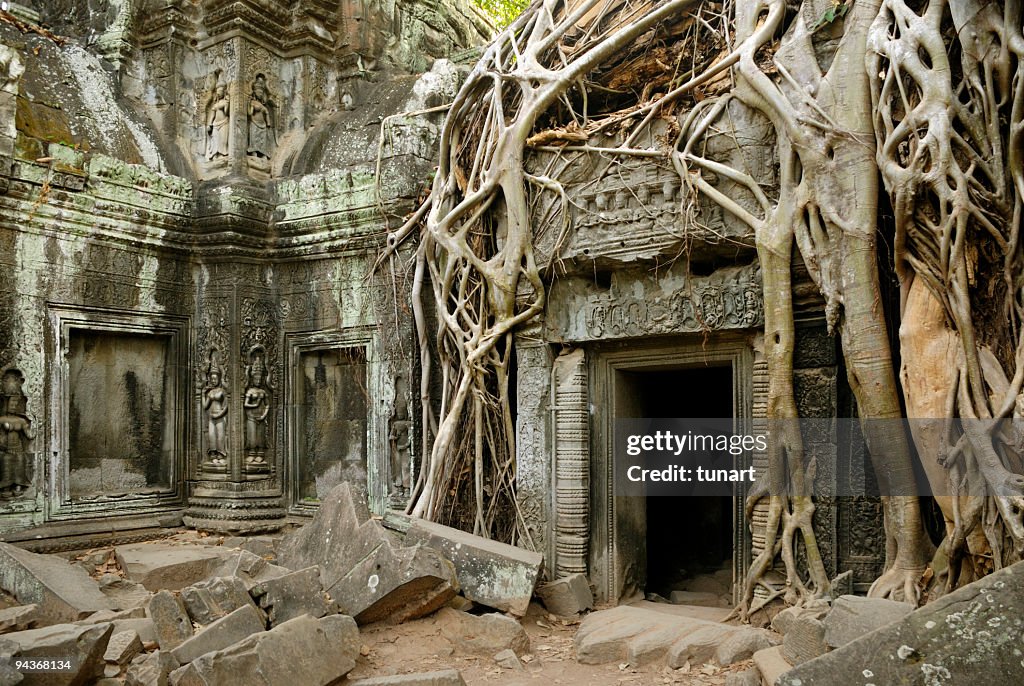 Silk Cotton Tree roots on Ta Prohm Temple, Angkor, Cambodia