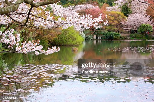 Japanese Garden, Kyoto, Japan Japanese Garden, Kyoto, Japan