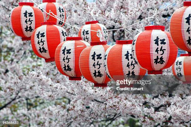 japanese lanterns and cherry blossom, kyoto, japan - cherry blossom japan stock pictures, royalty-free photos & images