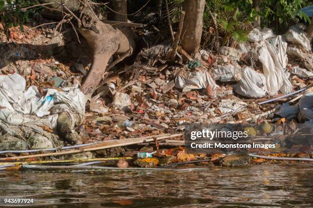 Water Pollution Rio Rio Water Pollution Photos and Premium High Res Pictures - Getty Images