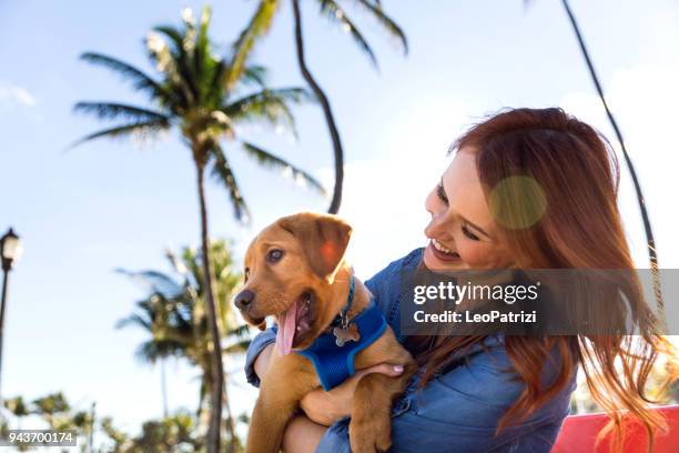 femme avec son chiot labrador durant une belle journée au parc à miami beach. - south beach photos et images de collection