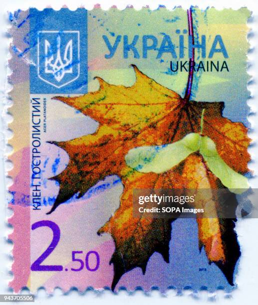 Series of "Flora of Ukraine. Postage stamp shows the image of Acer platanoides or Norway maple. Ukraine, 2012.