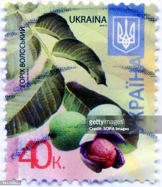Series of "Flora of Ukraine. Postage stamp shows the image of Walnut. Ukraine. 2015.