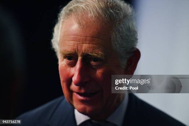 Prince Charles, Prince of Wales attends a community reception at the Royal Flying Doctors Service Tourist Facility in Darwin on April 9, 2018 in...