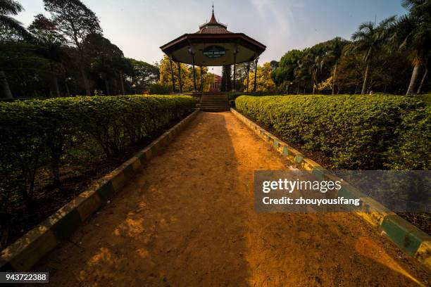 the cubbon park of bangalore - cubbon park stock pictures, royalty-free photos & images