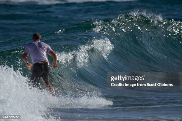 surfing - image by scott gibbons stock pictures, royalty-free photos & images