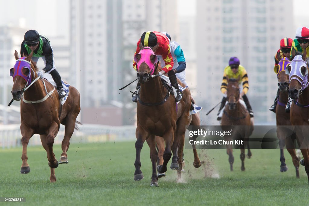 Horse Racing in Hong Kong - Sha Tin Racecourse