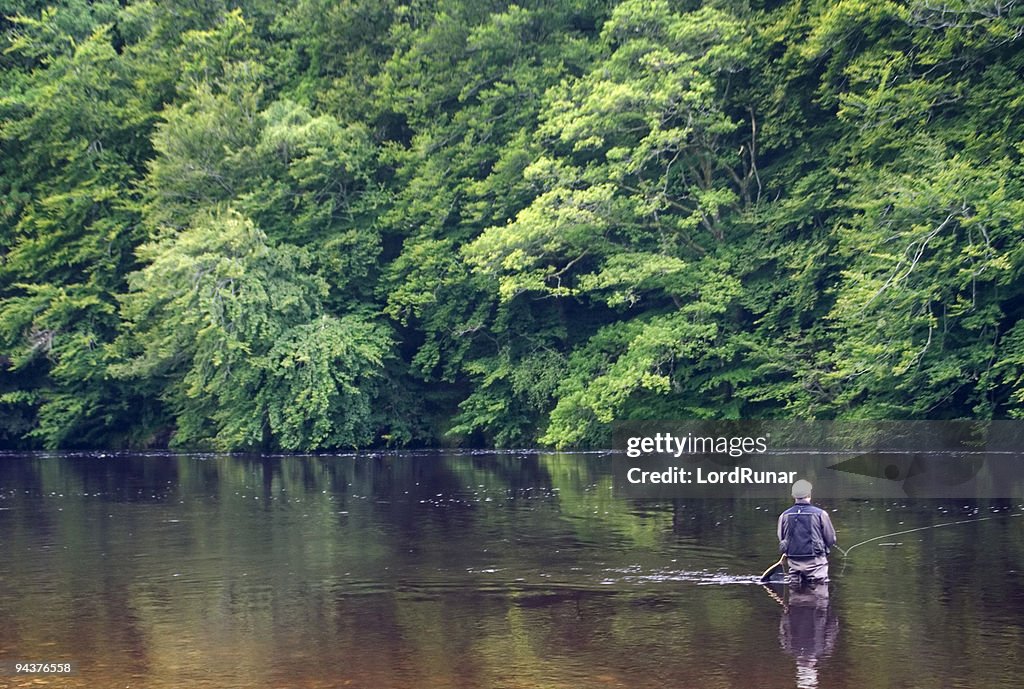 Río pesca con mosca