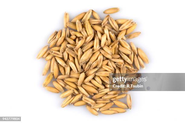 organic oat grains i - bran stock pictures, royalty-free photos & images