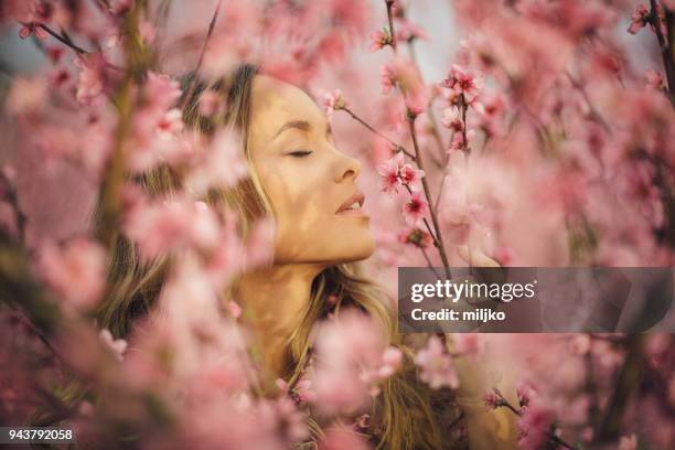 schöne junge frau mit kirschblüte im frühling - kirschblüte stock-fotos und bilder