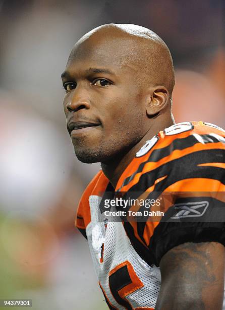 Chad Ochocinco of the Cincinnati Bengals pauses during warmups at an NFL game against the Minnesota Vikings at the Mall of America Field at Hubert H....