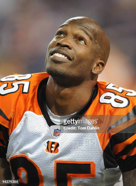 Chad Ochocinco of the Cincinnati Bengals pauses during warmups at an NFL game against the Minnesota Vikings at the Mall of America Field at Hubert H....