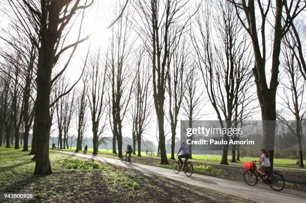 people cycling at bosbaan park in amsterdam - bosbaan photos et images de collection