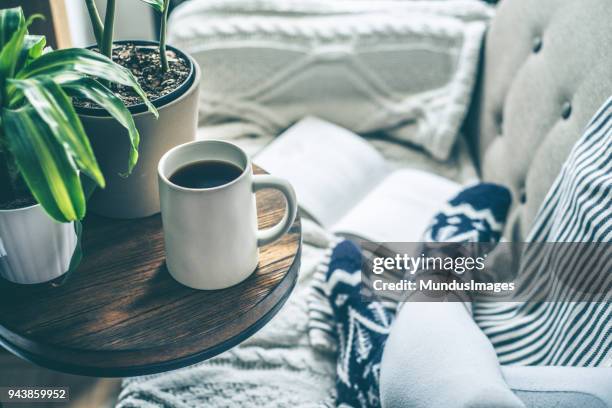 young woman enjoying coffee and relaxing on a sofa with a book - temperature imagens e fotografias de stock