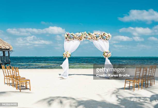 fresh flower arbor on the beach with eight chairs for a small beach wedding - cerimonia di nozze foto e immagini stock