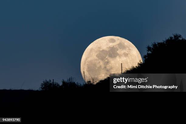 fencing in the full moon - supermoon fotografías e imágenes de stock