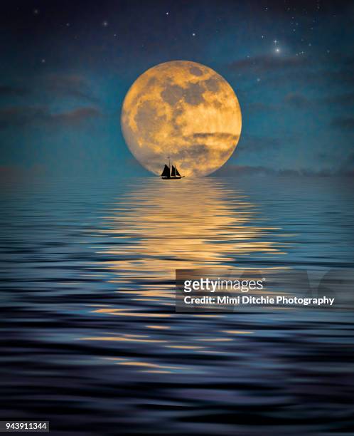 fantastic moonlight - maanlicht stockfoto's en -beelden