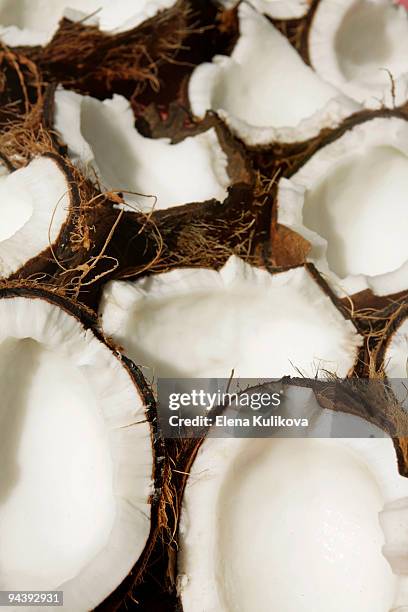 coconuts - kokosnuss stock-fotos und bilder