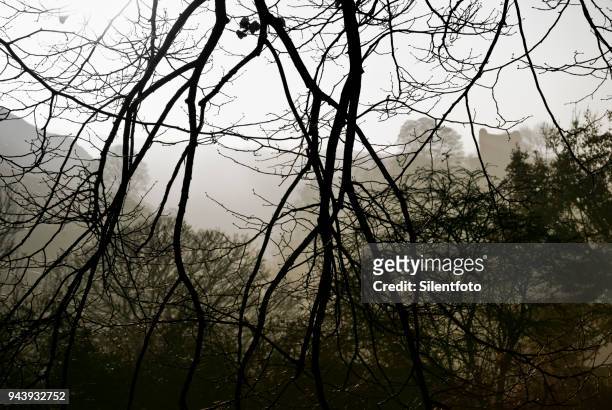 through bare branches peveril castle stands upon hill - silentfoto sheffield stock pictures, royalty-free photos & images