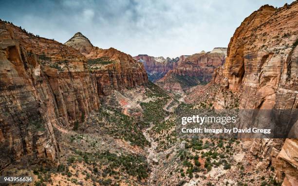 zion canyon - zion national park stock pictures, royalty-free photos & images