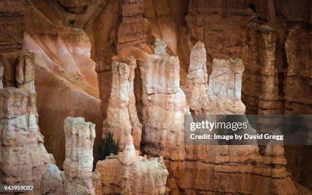 court of the hoodoos - david bryce stock pictures, royalty-free photos & images