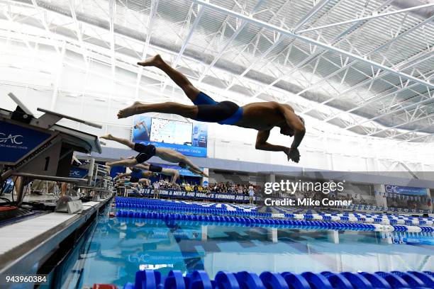 Swimmers dive from the blocks to start the mens 4 x 400 relay during the Division II Men's and Women's Swimming & Diving Championship held at the...