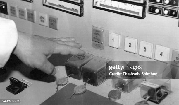 Chernobyl Switch Button Switching Reactor Photos and Premium High Res Pictures - Getty Images