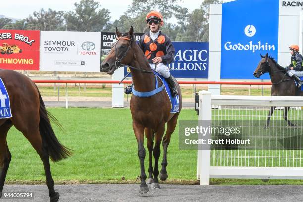 Chris Caserta returns to the mounting yard on Rock Hard after winning the Toyota Yaris Members' Draw 2YO Maiden Plate at Seymour Racecourse on April...