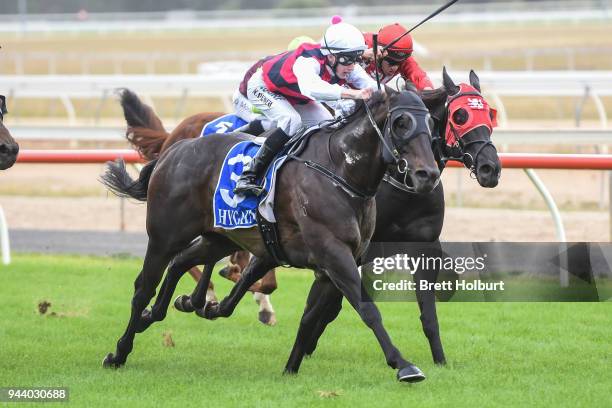 Streetshavenoname ridden by Nathan Punch wins the Mitchelton Wines BM58 Handicap at Seymour Racecourse on April 10, 2018 in Seymour, Australia.