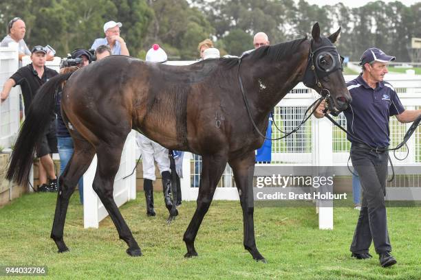 Streetshavenoname after winning the Mitchelton Wines BM58 Handicap at Seymour Racecourse on April 10, 2018 in Seymour, Australia.