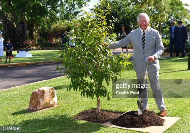 Prince Charles, Prince of Wales plants a tree at a tree planting ceremony during a reception at Government House on April 10, 2018 in Darwin,...