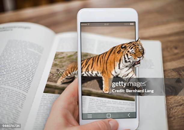 mobile phone displaying tiger coming out of phone - réalité augmentée photos et images de collection