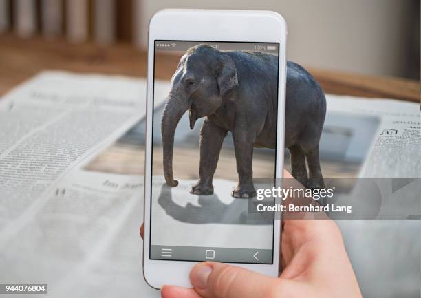 cell phone displaying elephant coming out of phone - augmented reality imagens e fotografias de stock