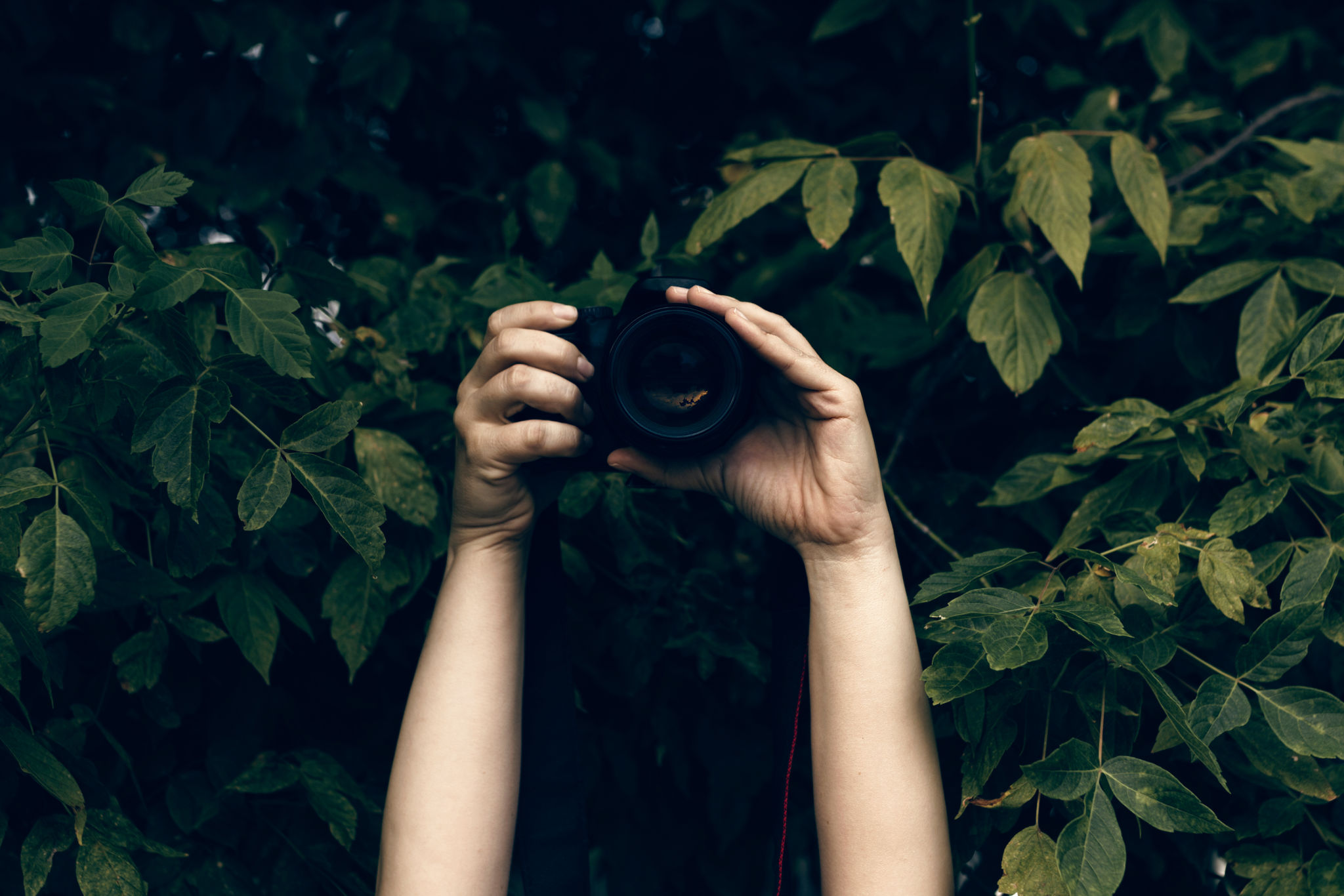 camera myth