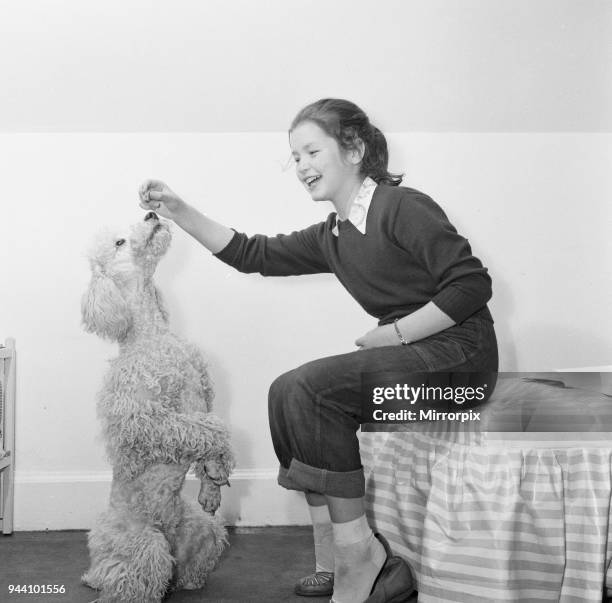 Child star Mandy Miller is pictured here at home on 8th May 1955.