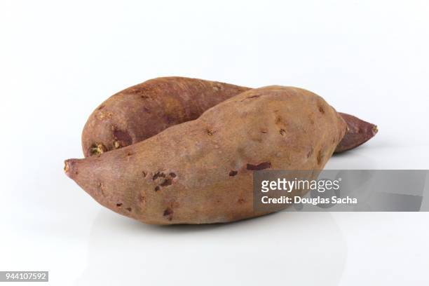 raw and uncooked sweet potato (ipomoea batatas) - potato masher bildbanksfoton och bilder