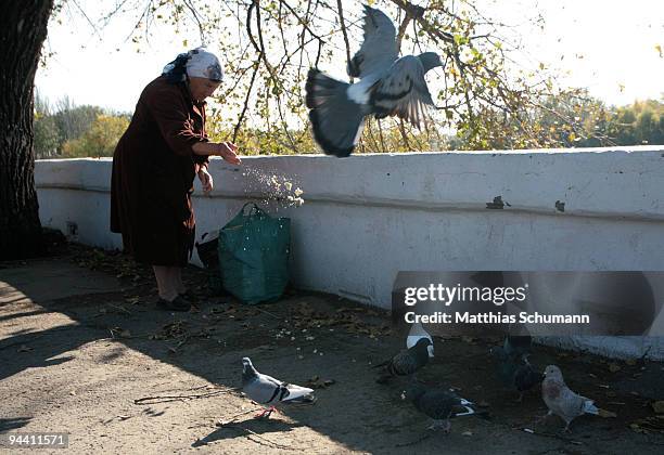 An old woman feeds doves October 19, 2008 near the river Dnistre in Tiraspol, Moldova. Tiraspol is the second largest city in Moldova and is the...