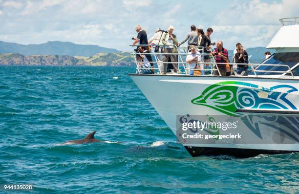 227 Dolphin Cruises Stock Photos, High-Res Pictures, and Images