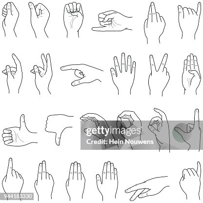 Vector Hand Collection Hand Collection High-Res Vector Graphic - Getty Images