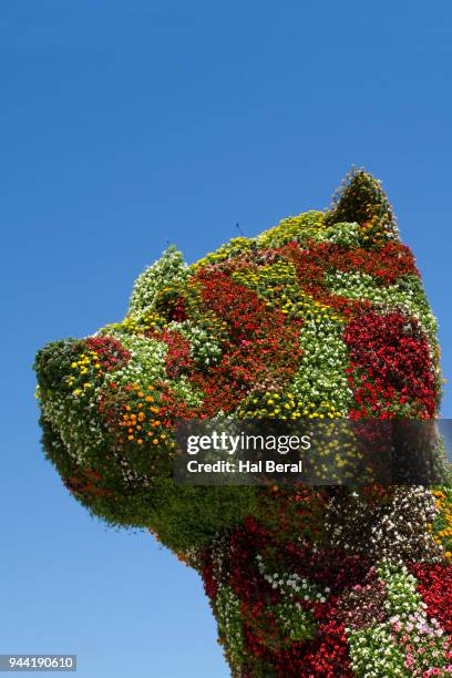close-up of puppy floral statue by jeff koons - jeff koons and guggenheim museum bilbao stock pictures, royalty-free photos & images