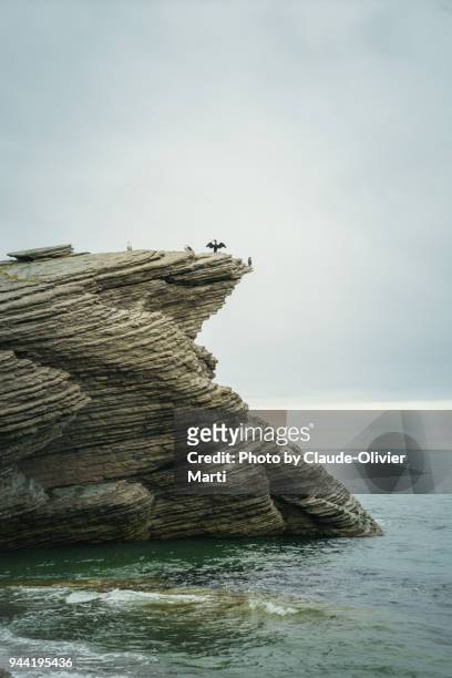 forillon national park, gaspésie, canada - forillon national park stock pictures, royalty-free photos & images