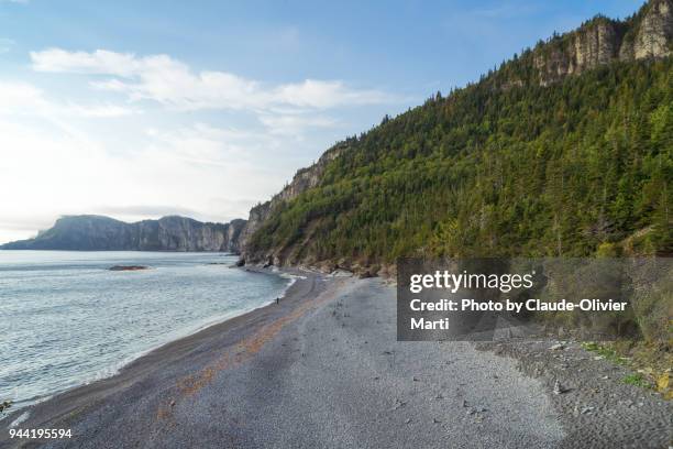 cap-bon-ami, forillon national park, gaspésie, canada - forillon national park fotografías e imágenes de stock